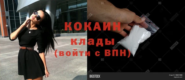 дмт Сатка
