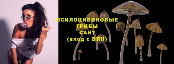 стафф Балахна
