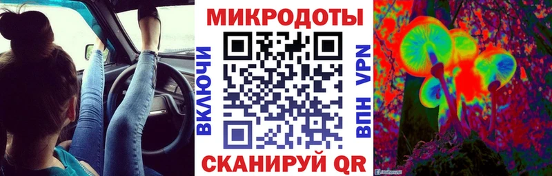Псилоцибиновые грибы Cubensis  Вихоревка 